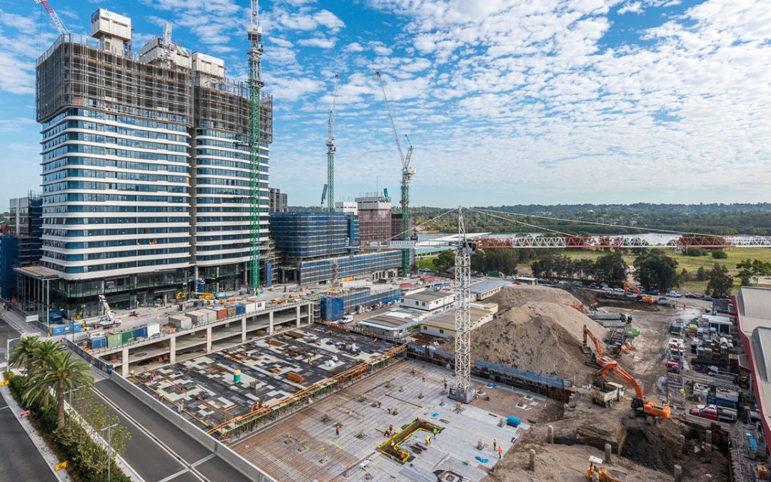 Billbergia Constructions