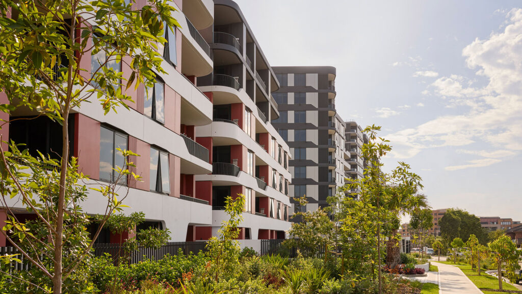 Lidcombe Rise Hero