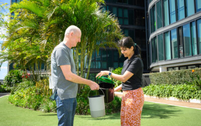 Innovative food waste recycling pilot greening high-rise living 